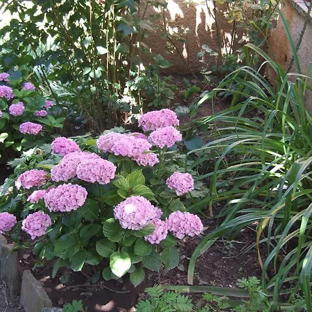 L'oustal Occitan à Saint-juéry