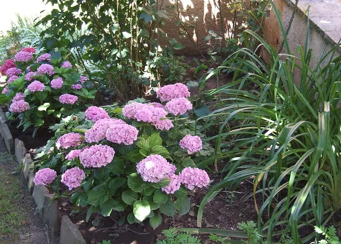 L'oustal Occitan A Saint-juery