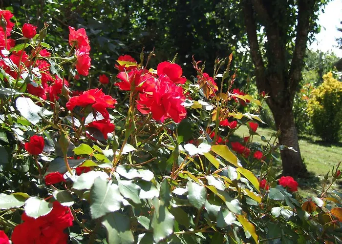L'oustal Occitan A Saint-juery * Saint-Juéry