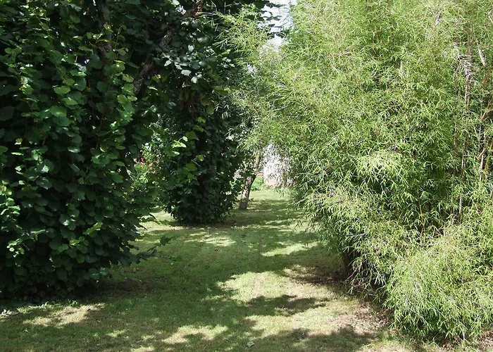 L'oustal Occitan A Saint-juery Semesterbostad *