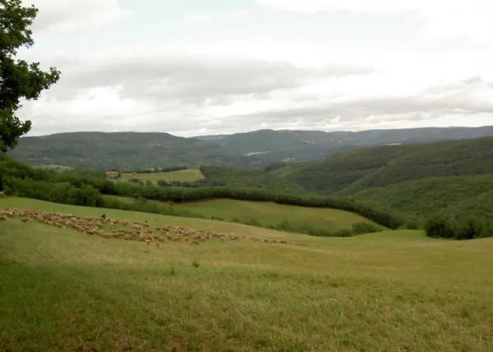 Semesterbostad L'oustal Occitan A Saint-juery *